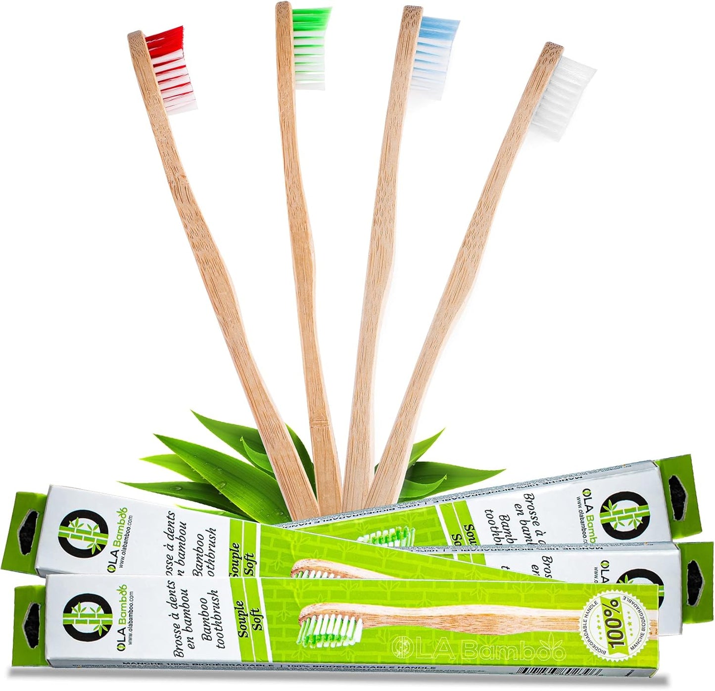 OLA Bamboo - Bamboo Toothbrushes, Pack of 4, Soft Bristle Toothbrush for Sensitive Teeth, Soft Toothbrushes for Adults Manufactured in Canada, Zero Waste Products for the Environment