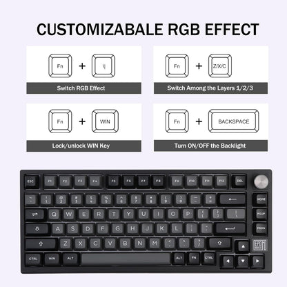 EPOMAKER TH80 SE Gasket 75% Mechanical Keyboard, NKRO Hot Swap RGB Triple Mode Gaming Keyboard with Poron/EVA Foam, Knob Control for E-Sport/Win/Mac (TH80 SE Black Silver, Epomaker Flamingo Switch)