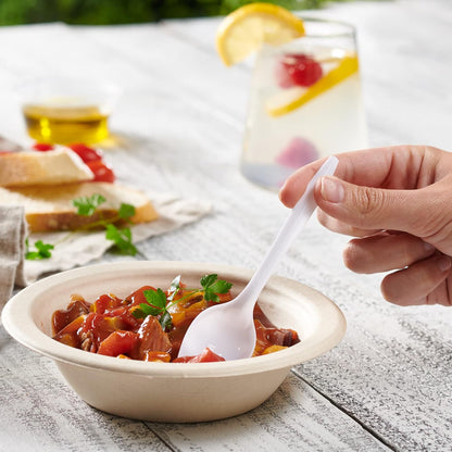 400 Light-Weight White Disposable Plastic Teaspoons