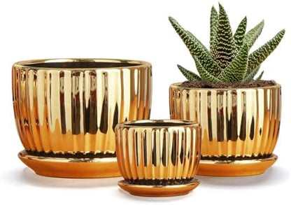 Purilite Select 3-Piece Ceramic Indoor Planter Set