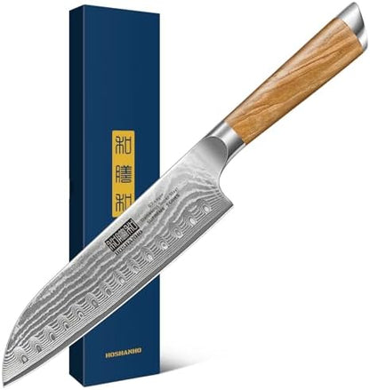 HOSHANHO Damascus Fillet Knife 7 Inch, Professional VG-10 Super Steel Boning Knife, Ultra Sharp Fish Knife with Ergonomic Handle