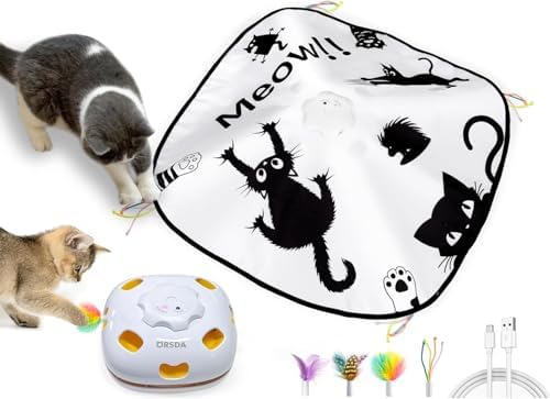 ORSDA Cat Toys Interactive, 4 in 1 Automatic Cat Toy, Hide and Seek, Whack a Mole, Magic Wand, Chasing Feather, with 4 Replacements, USB Rechargeable, for All Breed Sizes