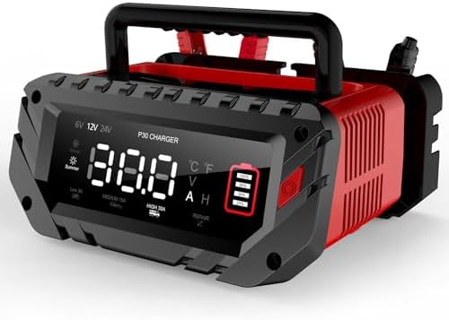 Lithium Lifepo4 Battery Charger,12V 24V Fully Automatic Car Battery Charger, 12 Volt-20A, 24 Volt-10A Trickle Charger maintainer, AGM Deep Cycle Battery Charger