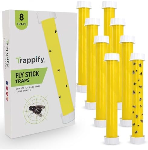 Trappify Hanging Fly Traps Outdoor: Fruit Fly Traps for Indoors | Fly Catcher, Gnat, Mosquito, & Flying Insect Catchers for Inside Home - Disposable Sticky Fly Trap for Indoor House Pest Control (2)