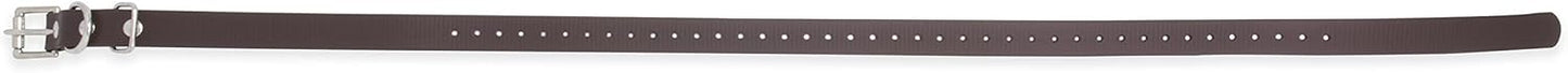 Educator ET-BUC034 Biothane Collar, 3/4-Inch, Black