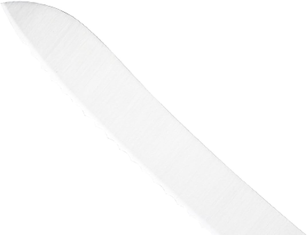 Mercer Culinary M23860 Millennia Black Handle, 8.5-Inch Narrow, Fillet Knife