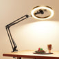 10-Inch Desk Ring Light with Adjustable Stand and Phone Holder, Overhead LED Lighting for Video Recording, Live Streaming, Online Meetings and Content Creation