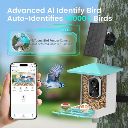 isYoung Smart Bird Feeder with Camera – AI Identifies 16,000+ Bird Species, 2K HD, Solar Powered, Motion Detection, Wide-Angle View