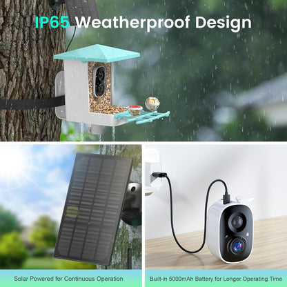 isYoung Smart Bird Feeder with Camera – AI Identifies 16,000+ Bird Species, 2K HD, Solar Powered, Motion Detection, Wide-Angle View