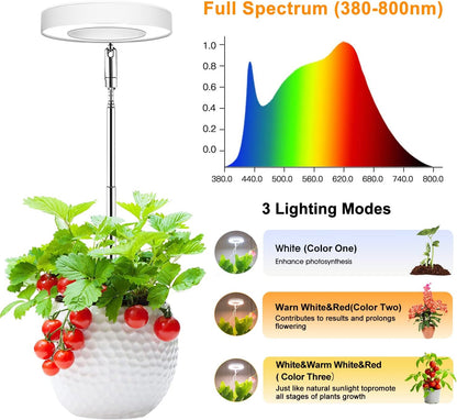 48-LED Full Spectrum Plant Grow Light | Adjustable Height | Auto Timer | 3 Light Modes | 10 Brightness Levels
