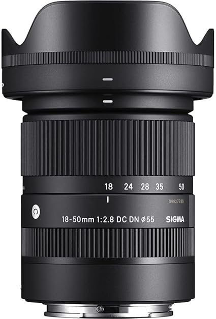 18-50mm F2.8 DC DN Contemporary (for E Mount)