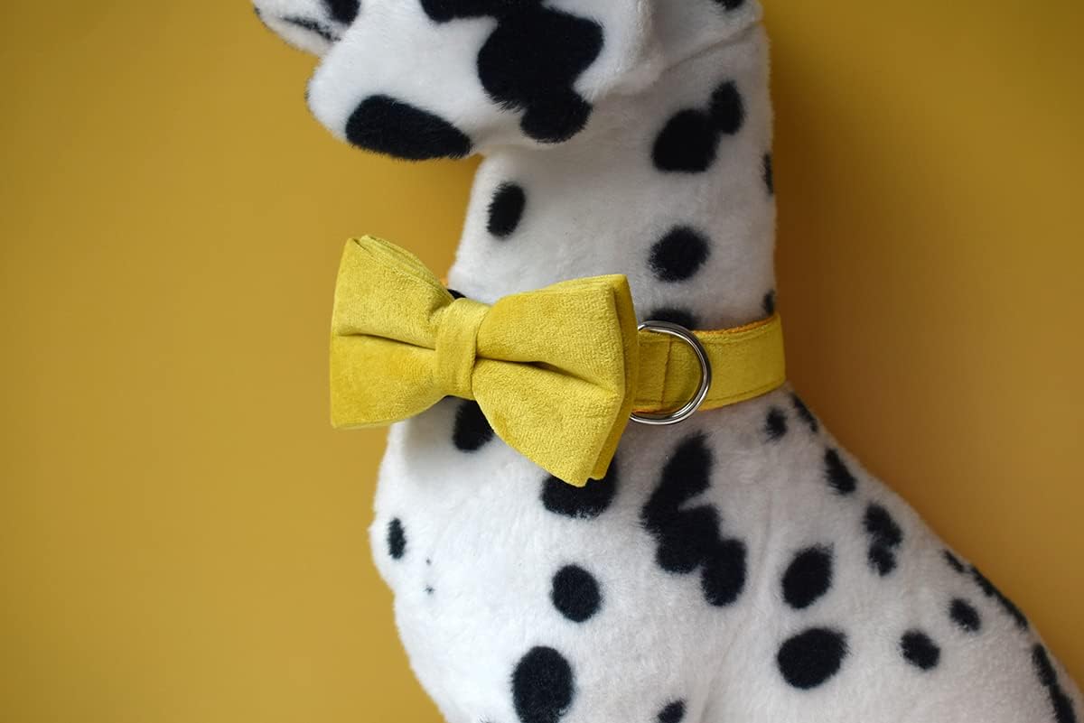 Custom Dog Collar with Metal Buckle - Pet Collars Personalized with Name and Phone Number (Plaid)