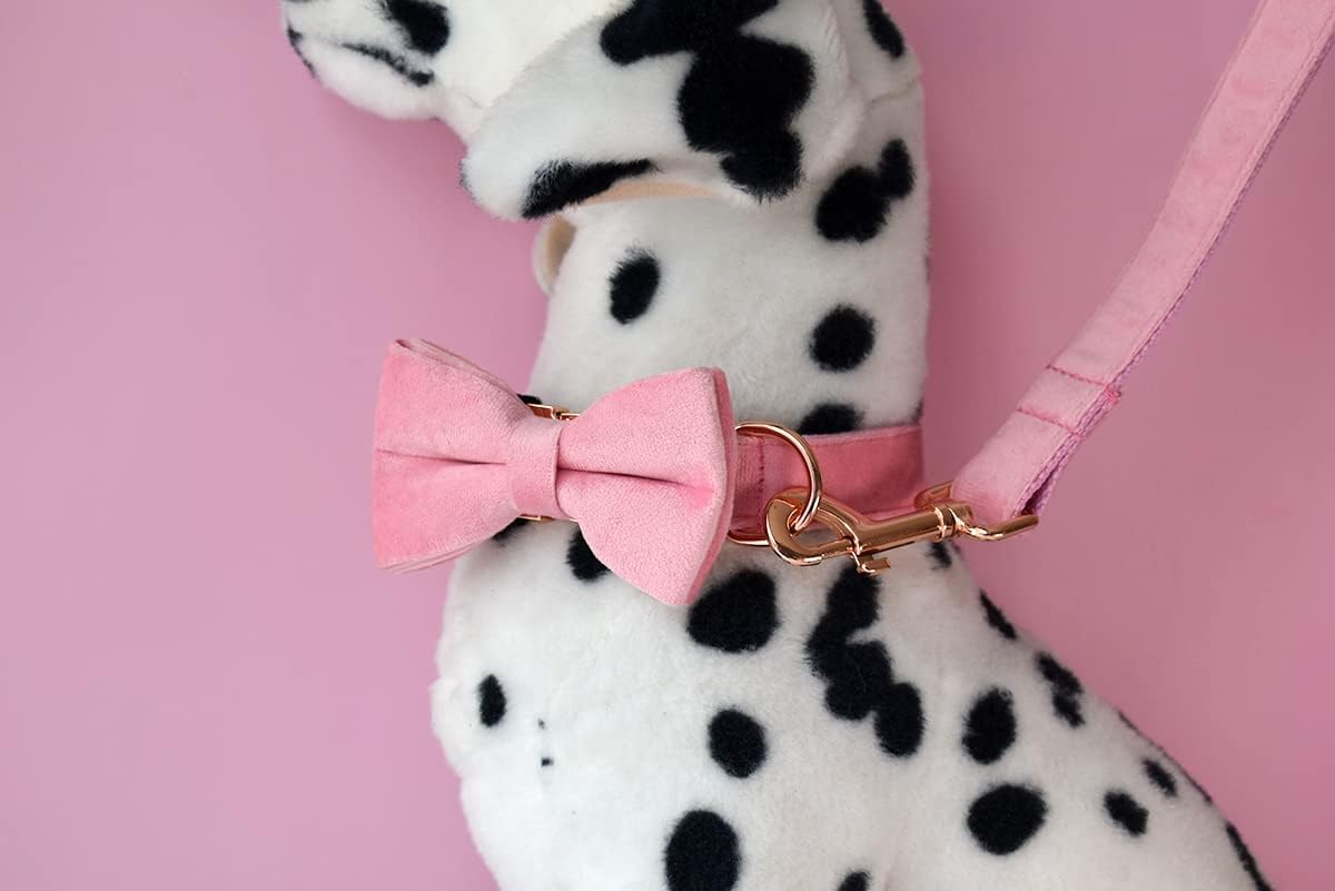 Custom Dog Collar with Metal Buckle - Pet Collars Personalized with Name and Phone Number (Plaid)