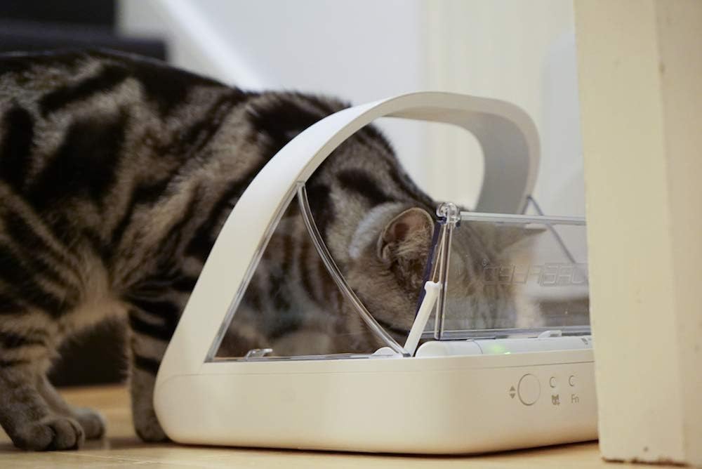 Sure Petcare - SureFeed Microchip Pet Feeder - The Automatic Pet Feeder That Makes Meal Times Stress Free - Helps prevent food stealing - Great for Prescription and Weight Management Diets