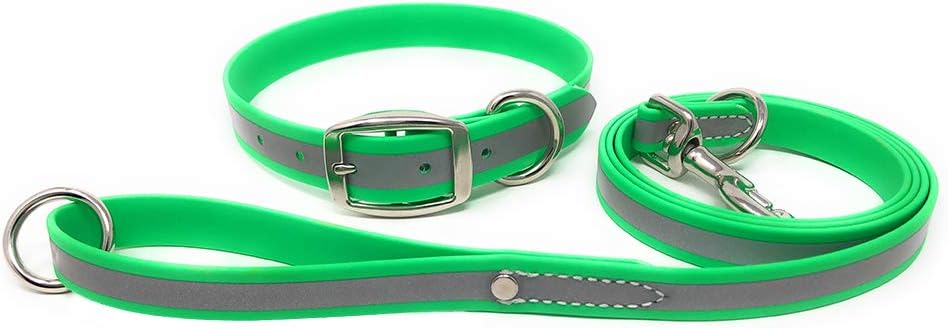 Regal Dog Products Heavy Duty Reflective Dog Collar – Adjustable and with Durable Metal Buckle and Rings Anti-Odor, chew Resistant, Waterproof Dog Collar for Small Medium and Large Dogs (Large, Pink)