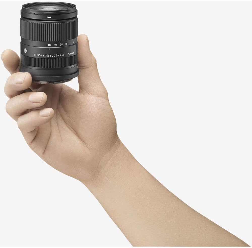 18-50mm F2.8 DC DN Contemporary (for E Mount)