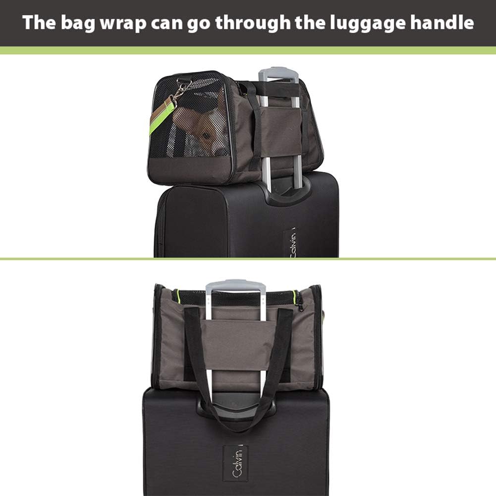 Aivituvin Dog Carrier Airline Approved Soft Sided Pet Carriers, Collapsible Travel Cat Carrier for Medium Cats and Puppies (Green Large)