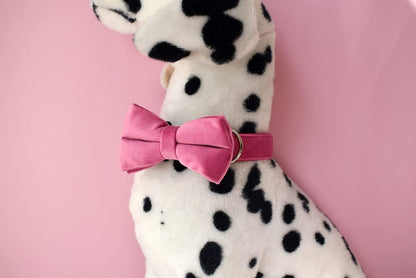 Custom Dog Collar with Metal Buckle - Pet Collars Personalized with Name and Phone Number (Plaid)