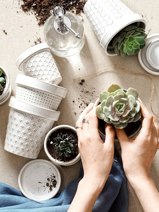 LE TAUCI Plant Pots, 4 Inch Succulent Plant Pots Indoor, Ceramic Small Flower Pots with Drainage & Saucers, Decorative Lovely Planter for Mini Cactus, Set of 4, Arctic White - PuriLite