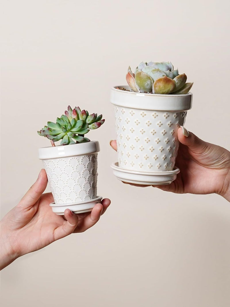 LE TAUCI Plant Pots, 4 Inch Succulent Plant Pots Indoor, Ceramic Small Flower Pots with Drainage & Saucers, Decorative Lovely Planter for Mini Cactus, Set of 4, Arctic White