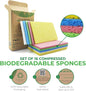 Pack of 16 Biodegradable Compressed Sponges for Dishes - Made from Cellulose - Eco Friendly, Non Scratch, Odour Free, Compostable Pop Up Sponges for Kitchen & Bathroom - Green America & PETA Certified