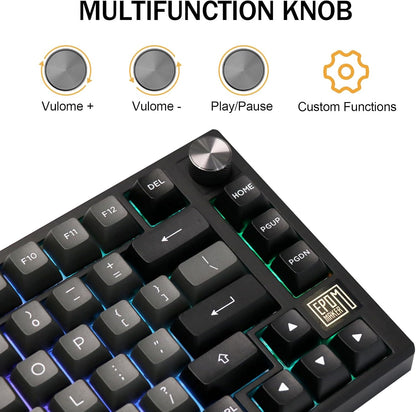 EPOMAKER TH80 SE Gasket 75% Mechanical Keyboard, NKRO Hot Swap RGB Triple Mode Gaming Keyboard with Poron/EVA Foam, Knob Control for E-Sport/Win/Mac (TH80 SE Black Silver, Epomaker Flamingo Switch)