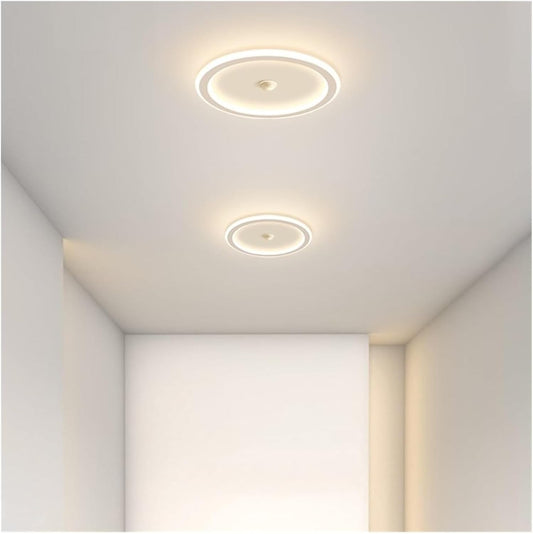 Pendent Lamp Smart LED Ceiling Lamps Human Sensor Smart Home Lighting Compatible with Entrance Room Hallways Corridor Sensor Ceiling Lamp,Pendant Light(Light Green,Warm White)
