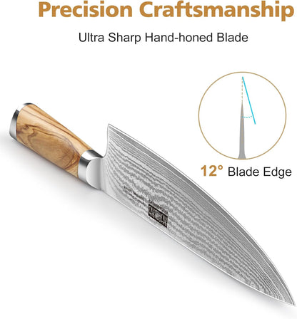 HOSHANHO Damascus Fillet Knife 7 Inch, Professional VG-10 Super Steel Boning Knife, Ultra Sharp Fish Knife with Ergonomic Handle