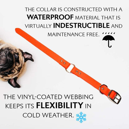 Regal Dog Products Small Orange Waterproof Dog Collar and Leash Set - Vinyl Coated, Biothane Puppy Pet Training Collar with Heavy Duty Center Ring & 5'ft Leash - Other Sizes for Medium & Large Dogs