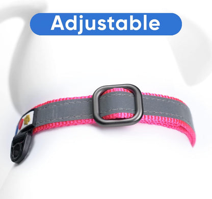 Pawtitas Chain Martingale Dog Collar Puppy Collar Reflective Dog Collar Training Dog Collar Behavioral Dog Chain Collar Collar Medium Dog Collar Green Dog Collar