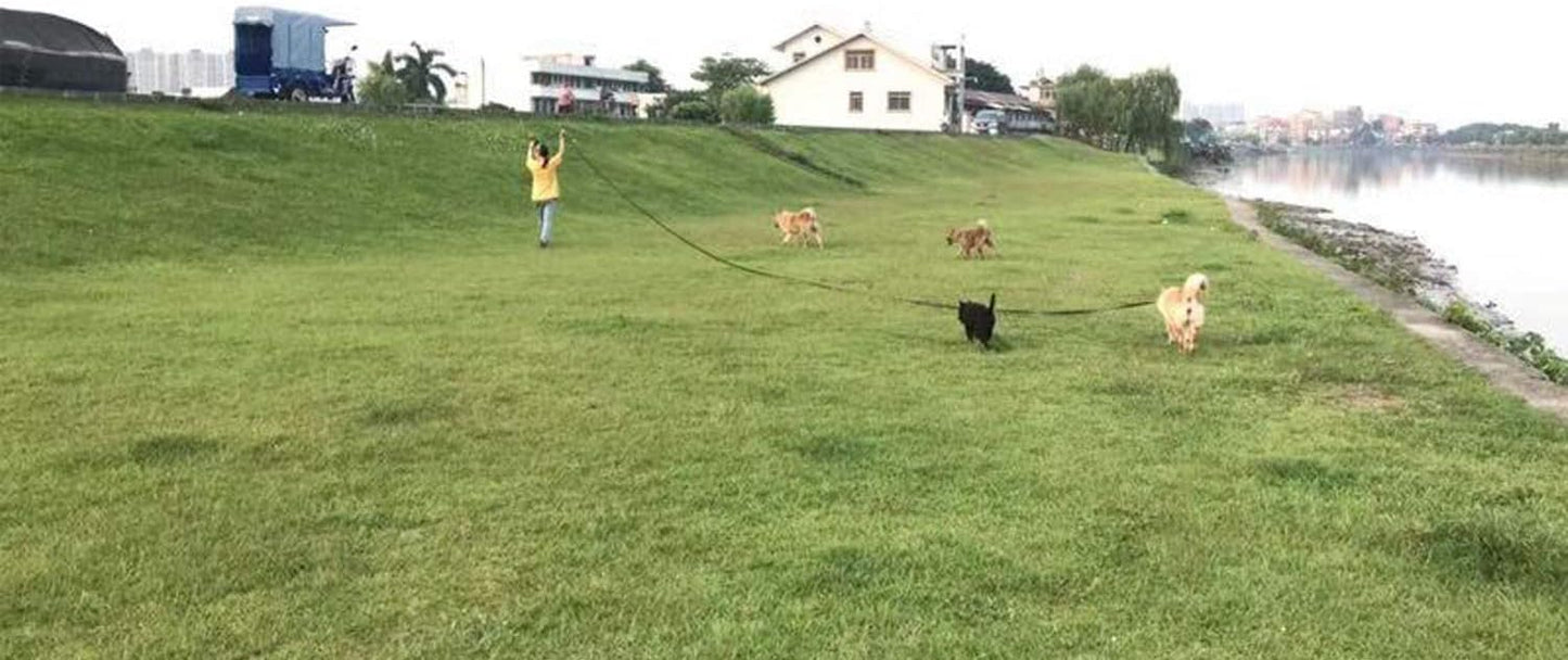AMAGOOD Dog/Puppy Obedience Recall Training Agility Lead-15 ft 20 ft 30 ft 50 ft Long Leash-for Dog Training,Tie Out,Play,Safety,Camping (15 feet, Black)