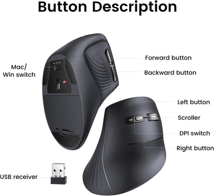 UGREEN Ergonomic Wireless Vertical Mouse with 5 Buttons, Bluetooth 5.0 & 2.4Ghz with USB Receiver, 4 DPI Levels up to 4K, Silent Click, Compatible with Windows, Linux, Mac, Android and Chrome