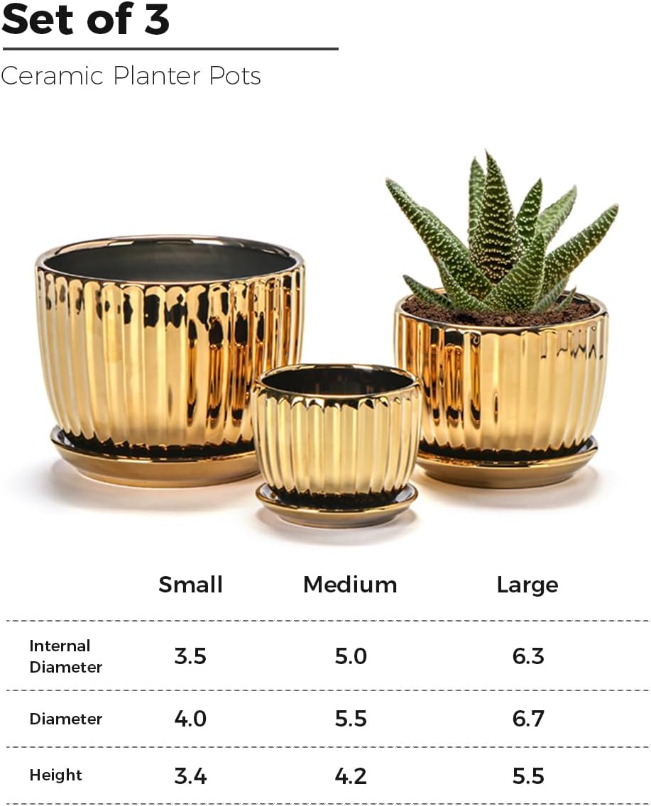 Purilite Select 3-Piece Ceramic Indoor Planter Set