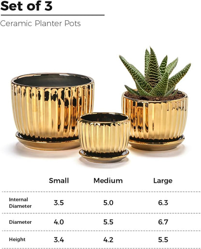 Purilite Select 3-Piece Ceramic Indoor Planter Set