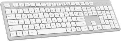 LeadsaiL Wireless Keyboard | Ergonomic Keyboard | Full-Sized Keyboard | Noiseless Keyboard | 2.4GHz Wireless Keyboard | USB Keyboard - PuriLite