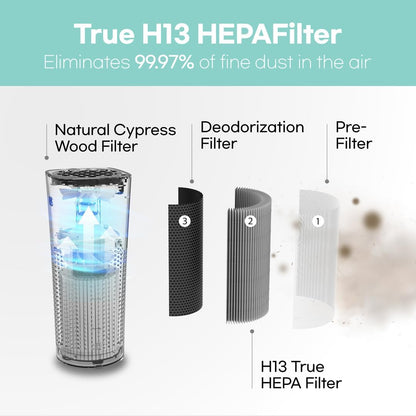 IMUNSEN M-003B Portable Air Purifier with Cypress Wood Filter, H13 True HEPA Filter, Captures Smoke, Odors, Mold, Allergens, USB Port 5V for Car, Desk and Office, Made in Korea – Black - PuriLite