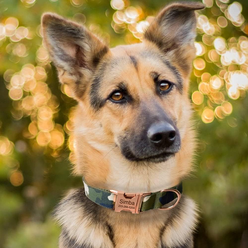 Custom Dog Collar with Metal Buckle - Pet Collars Personalized with Name and Phone Number (Plaid)