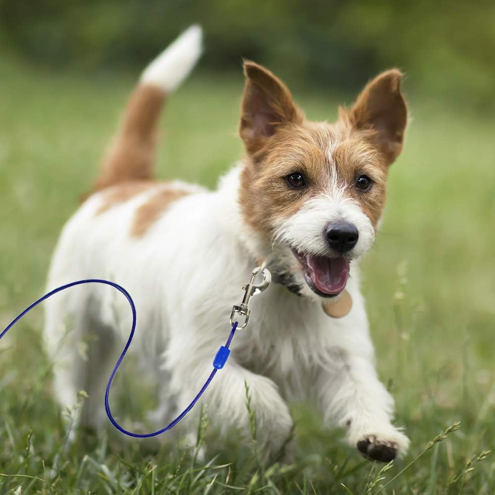 BV Pet Small Tie Out Cable for Dog up to 35 Pound, 25-Feet