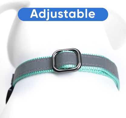 Pawtitas Chain Martingale Dog Collar Puppy Collar Reflective Dog Collar Training Dog Collar Behavioral Dog Chain Collar Collar Large Dog Collar Orange Dog Collar