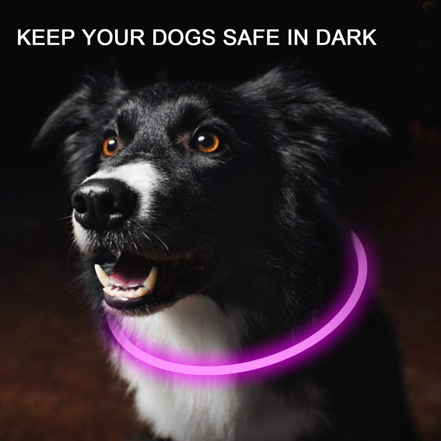 Novkin 2-Pack LED Dog Collar, Light Up Dog Collars,Rechargeable Dog Lights for Night Walking，Universal, Reusable Safety Necklace for Small Medium Large Dogs Green&Blue