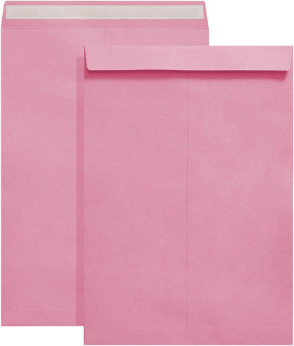 Tanshuqin 9" x 12.75" Self-Seal Catalog Envelopes 32lb Kraft Envelopes for Invitation Cards, Organizing and Storage, Pictures, Photos, Documents (100 PCS)