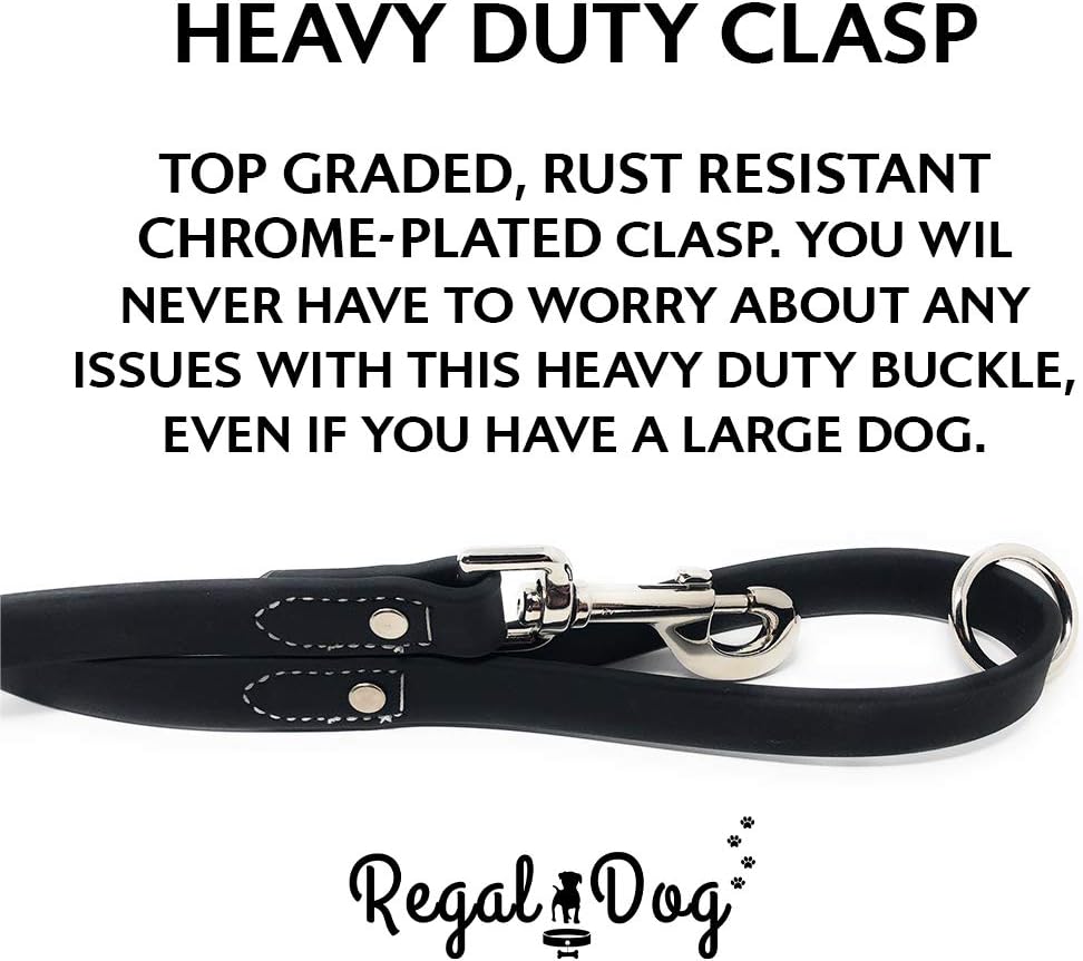 Regal Dog Products Small Orange Waterproof Dog Collar and Leash Set - Vinyl Coated, Biothane Puppy Pet Training Collar with Heavy Duty Center Ring & 5'ft Leash - Other Sizes for Medium & Large Dogs