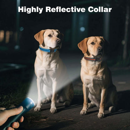 Peture Shock Collar with Remote -Long Range Control Training Collar for Dogs Rechargeable IPX7 Waterproof Dog Training Collar for Large Medium Small Dogs 3 Chanal (Pink)