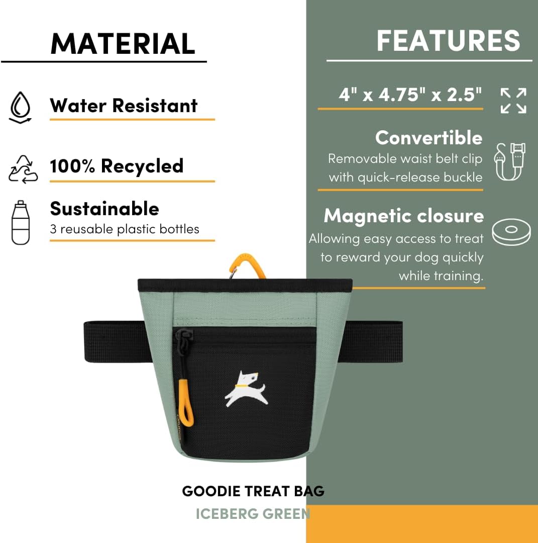 OllyDog Goodie Treat Bag, Dog Treat Pouch, Waist Belt Clip for Hands-Free Training, Magnetic Closure, Dog Training and Behavior Aids, Three Ways to Wear (Palm)