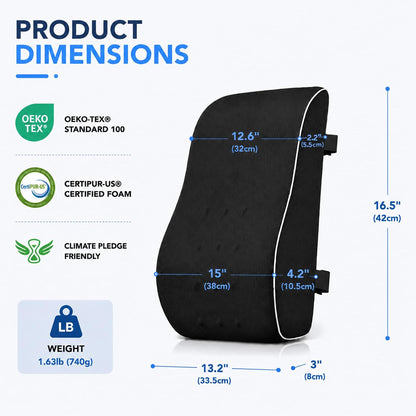 QUTOOL Lumbar Support Pillow for Office Chair, High-Density Memory Foam Back Cushion with Dual Adjustable Straps, Breathable 3D Mesh Cover, Ergonomic Back Support for Everyday Sitting