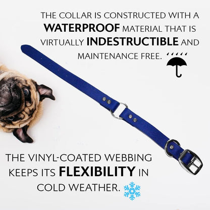 Regal Dog Products Medium Yellow Waterproof Dog Collar with Heavy Duty Double Buckle & D Ring | Vinyl Coated, Custom Fit, Adjustable Biothane Dog Collar | Chew Resistant Waterproof Collar for Dogs