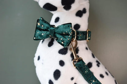 Custom Dog Collar with Metal Buckle - Pet Collars Personalized with Name and Phone Number (Plaid)