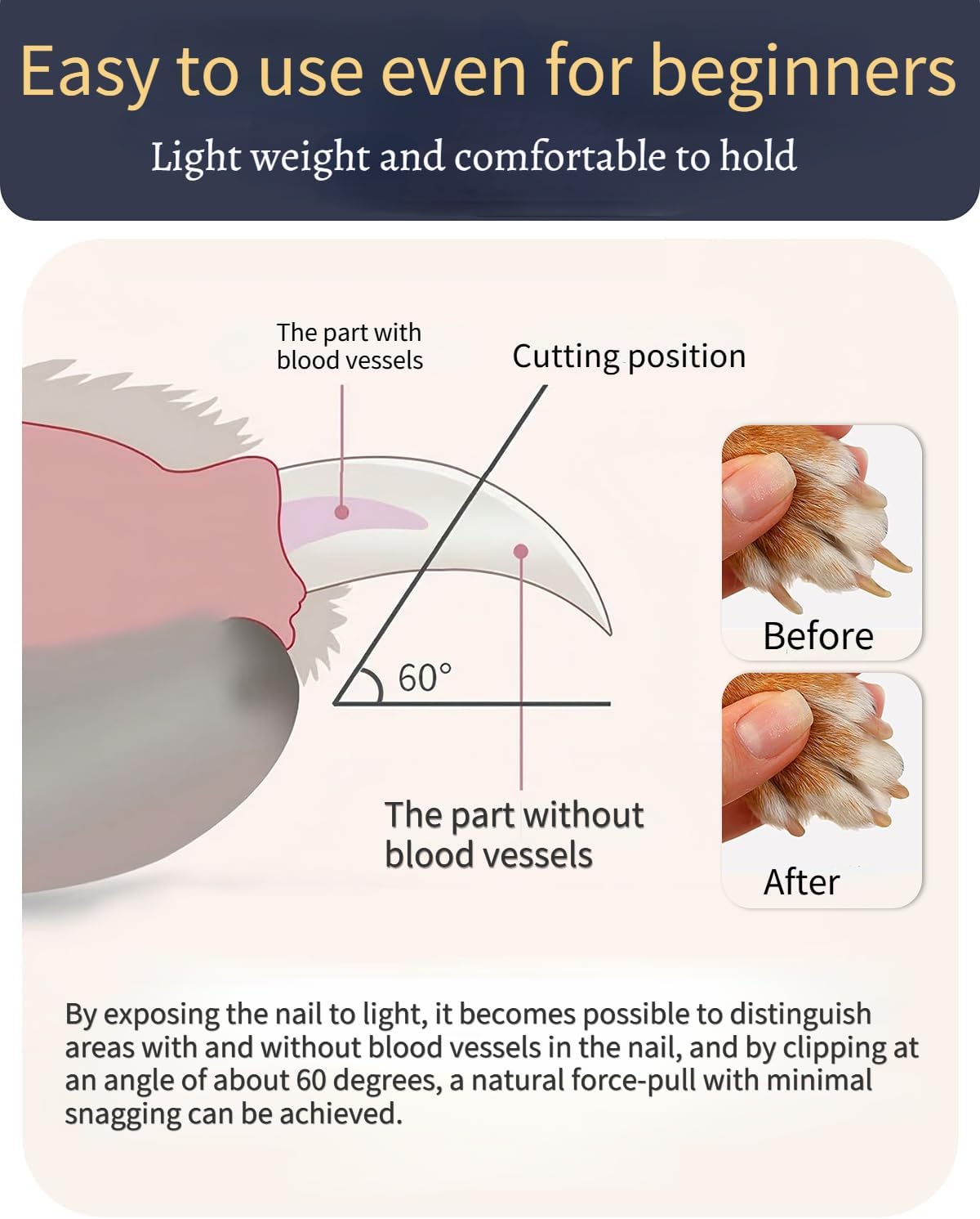 Electric Pet Nail Grinder with 2-Speed for Dogs and Cats Silent Groom Pro Dog Nail Grinder for Puppy Kitty with LED Light USB Charging Dog Claw Care Paw Cleaner (White)