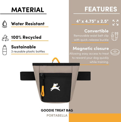 OllyDog Goodie Treat Bag, Dog Treat Pouch, Waist Belt Clip for Hands-Free Training, Magnetic Closure, Dog Training and Behavior Aids, Three Ways to Wear (Iceberg Green)