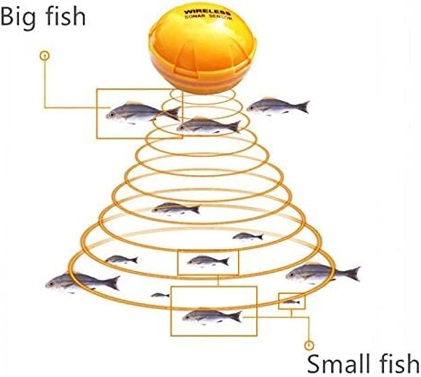 Fish Finder for Smart Mobile Phone Sonar Fish Finder Depth Fish Detect Compatible with iOS and Android Smart Sonar for Kayaks Boats Fishing Enthusiast